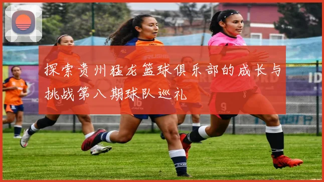 探索贵州猛龙篮球俱乐部的成长与挑战第八期球队巡礼