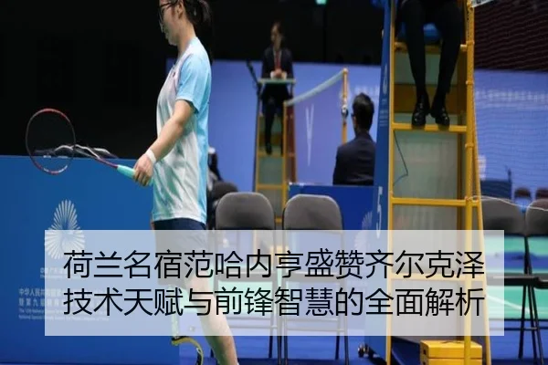 荷兰名宿范哈内亨盛赞齐尔克泽 技术天赋与前锋智慧的全面解析